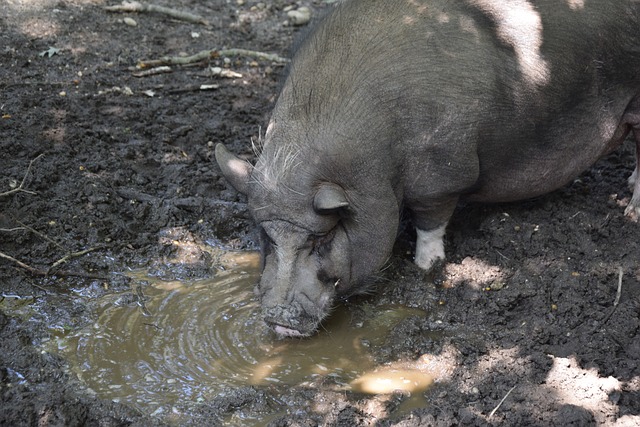 卡什：今夏只想留在维拉；还在找对象，波兰女生请私信我